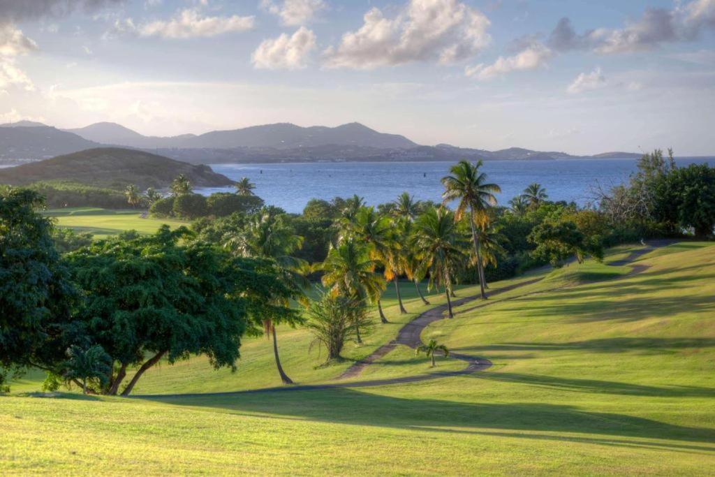 The Buccaneer Beach & Golf Resort Christiansted Room photo